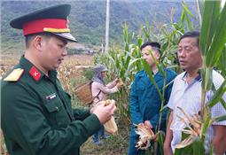 Trở lại Lân Thùng